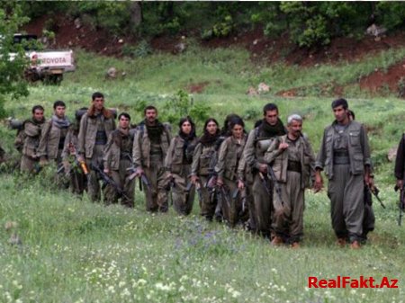 120 tayfa liderindən PKK-ya ismarış: "Ölkəni tərk edin!"