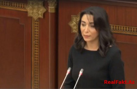 Azərbaycanda yeni Ombudsman seçildi