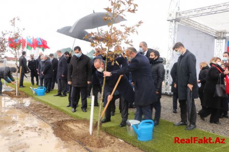 Azərbaycan Türkiyənin genişmiqyaslı ağacəkmə aksiyasına qoşuldu - FOTO